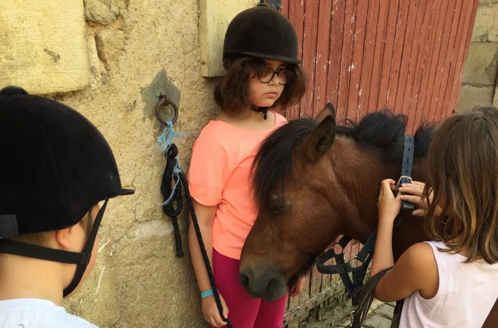 Aventure découverte * 10 jours * 8/11 ans
