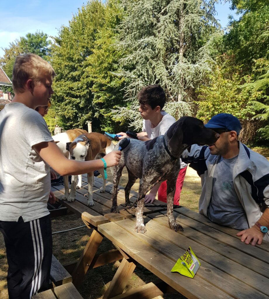Camping à la ferme * 19 jours *