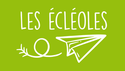 La nouvelle équipe nationale thématique du lien éclé-es écoles est officiellement lancée ! : Les écléoles